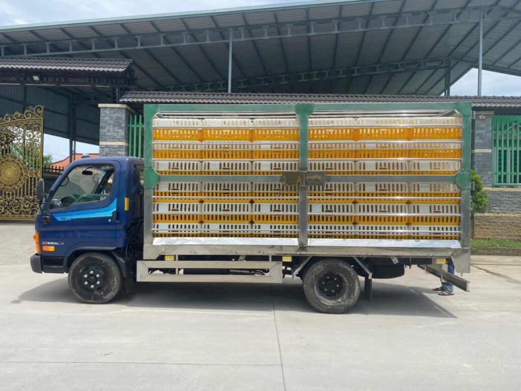 hyundai n550la thùng chở gia súc